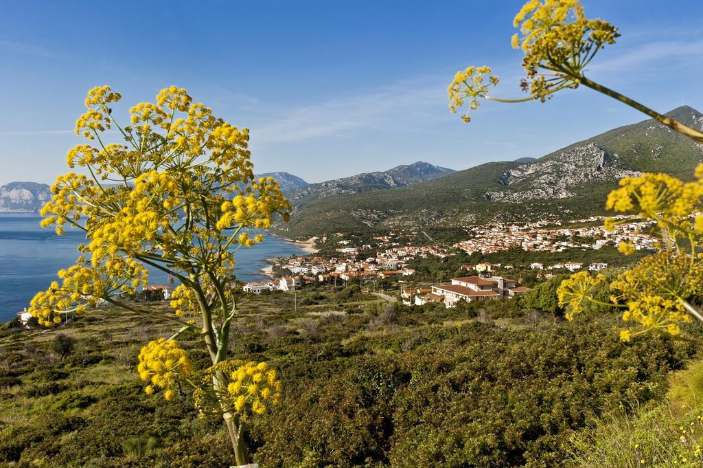 Hotel Brancamaria Cala Gonone Exterior photo